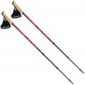 VIKING KUBE PRO KIJE DO NORDIC WALKING ANTISHOCK