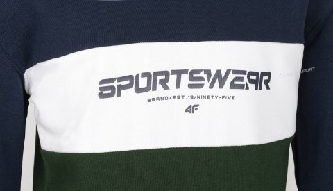 4F CHŁOPIĘCY DRES KOMPLET BLUZA SPODNIE / rozm 164 4F CHŁOPIĘCY DRES KOMPLET BLUZA SPODNIE / rozm 164