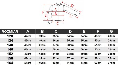 4F CHŁOPIĘCY DRES KOMPLET BLUZA SPODNIE / rozm 152 4F CHŁOPIĘCY DRES KOMPLET BLUZA SPODNIE / rozm 152