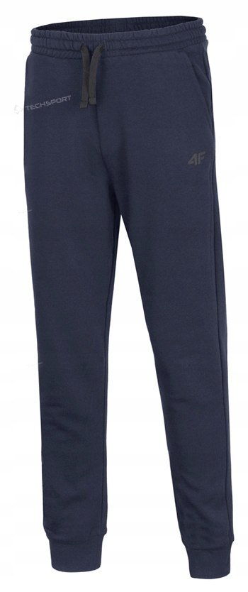 4F OCIEPLANY CHŁOPIĘCY DRES KOMPLET BLUZA SPODNIE / rozm 164 4F OCIEPLANY CHŁOPIĘCY DRES KOMPLET BLUZA SPODNIE / rozm 164