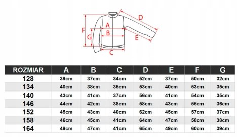 4F OCIEPLANY CHŁOPIĘCY DRES KOMPLET BLUZA SPODNIE / rozm 146 4F OCIEPLANY CHŁOPIĘCY DRES KOMPLET BLUZA SPODNIE / rozm 146