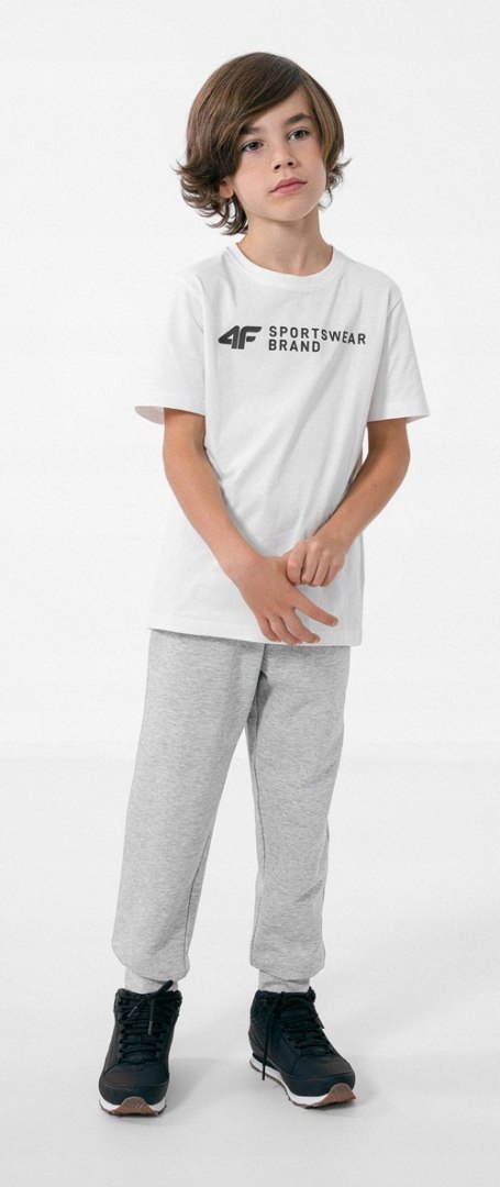 4F OCIEPLANY CHŁOPIĘCY DRES KOMPLET BLUZA SPODNIE / rozm 146 4F OCIEPLANY CHŁOPIĘCY DRES KOMPLET BLUZA SPODNIE / rozm 146