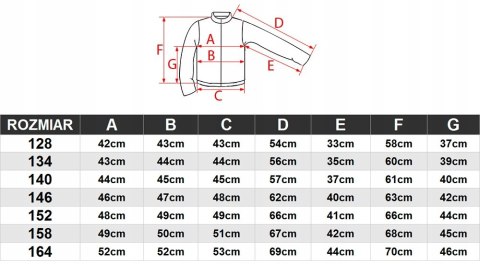 4F CHŁOPIĘCA KURTKA PARKA ZIMOWA / rozm 146 4F CHŁOPIĘCA KURTKA PARKA ZIMOWA / rozm 146