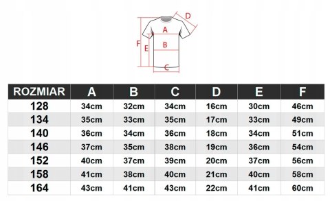 4F DZIEWCZĘCY T-SHIRT KOSZULKA / rozm 164 4F DZIEWCZĘCY T-SHIRT KOSZULKA / rozm 164