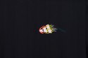 ADIDAS WYGODNA KOSZULKA MĘSKA BAWEŁNIANA T-SHIRT EMB TEE 4XL