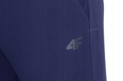 4F OCIEPLANY MĘSKI DRES BAWEŁNA KOMPLET BLUZA SPODNIE / rozm L 4F OCIEPLANY MĘSKI DRES BAWEŁNA KOMPLET BLUZA SPODNIE / rozm L