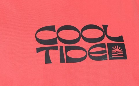 4F MĘSKA KOSZULKA BEZRĘKAWNIK BAWEŁNA / rozm M