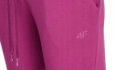 4F OCIEPLANY DAMSKI DRES BAWEŁNA KOMPLET BLUZA SPODNIE / rozm M