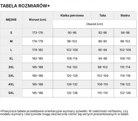 4F MĘSKA TERMOAKTYWNA KOSZULKA SPORTOWA T-SHIRT / rozm XXL