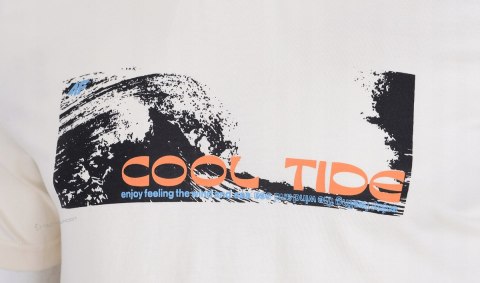 4F MĘSKA KOSZULKA T-SHIRT 100% BAWEŁNA / rozm M