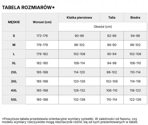 4F MĘSKIE OCIEPLANE SPODNIE TERMOAKTYWNE BIELIZNA TERMICZNA / rozm L