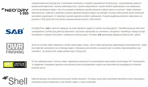 4F MĘSKA KURTKA ZIMOWA SPORTOWA Z MEMBRANĄ | OCIEPLANA | WODOODPORNA | L