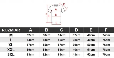 4F MĘSKA KOSZULKA T-SHIRT 100% BAWEŁNA / rozm L