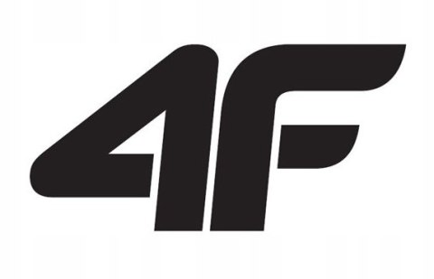 4F MĘSKA KURTKA ZIMOWA PUCHOWA Z NATURALNYM WYPEŁNIENIEM | PUCH KACZY | L