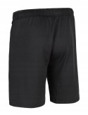 4F MĘSKIE KRÓTKIE SPODENKI SZORTY SPORTOWE / rozm XXXL 3XL