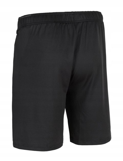 4F MĘSKIE KRÓTKIE SPODENKI SZORTY SPORTOWE / rozm XXXL 3XL