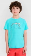 4F CHŁOPIĘCA KOSZULKA T-SHIRT BAWEŁNA / rozm 164