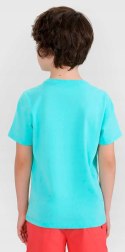 4F CHŁOPIĘCA KOSZULKA T-SHIRT BAWEŁNA / rozm 164