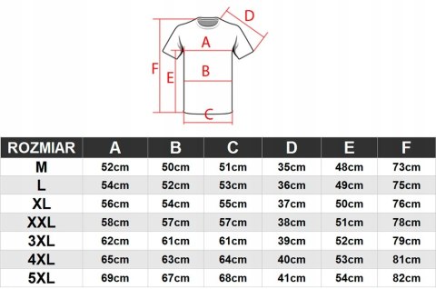 4F MĘSKA KOSZULKA T-SHIRT BAWEŁNA / rozm XXL