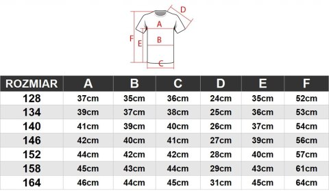 4F CHŁOPIĘCA KOSZULKA POLÓWKA POLO BAWEŁNA / rozm 158