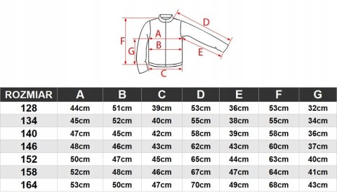 4F CHŁOPIĘCY DRES KOMPLET BLUZA KANGURKA SPODNIE / rozm 158