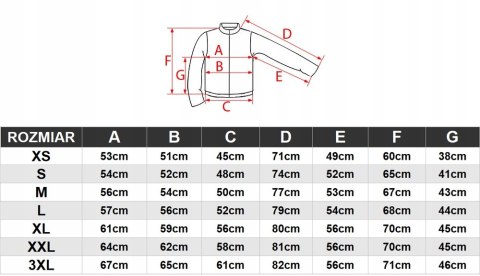 4F OCIEPLANA DAMSKA BLUZA BAWEŁNIANA KANGURKA Z KAPTUREM / rozm L