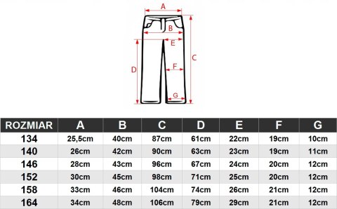 4F DZIEWCZĘCY DRES KOMPLET BLUZA NA ZAMEK SPODNIE / rozm 158