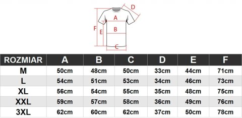 4F MĘSKA TERMOAKTYWNA KOSZULKA T-SHIRT SPORTOWA / rozm XL