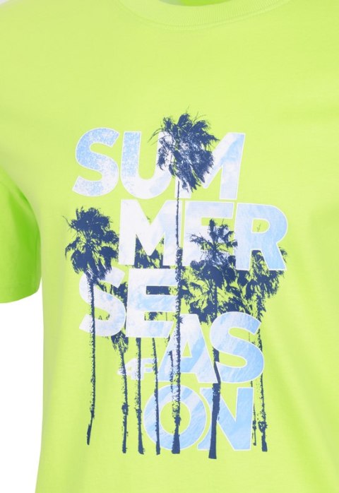 4F MĘSKA KOSZULKA T-SHIRT BAWEŁNA / rozm XXXL 3XL