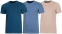 4F ZESTAW 3szt. 3-PAK MĘSKA KOSZULKA T-SHIRT 100% BAWEŁNA / rozm L