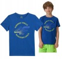 4F CHŁOPIĘCA KOSZULKA T-SHIRT BAWEŁNA / rozm 152