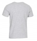 4F CHŁOPIĘCA KOSZULKA T-SHIRT BAWEŁNA / rozm 164