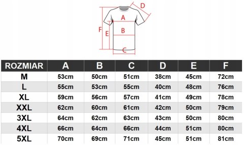 4F ZESTAW 3szt. 3-PAK MĘSKA KOSZULKA T-SHIRT 100% BAWEŁNA / rozm M