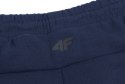 4F KRÓTKIE SPODENKI DRESOWE ZAPINANE KIESZENIE ZAMKI / rozm XXXL 3XL