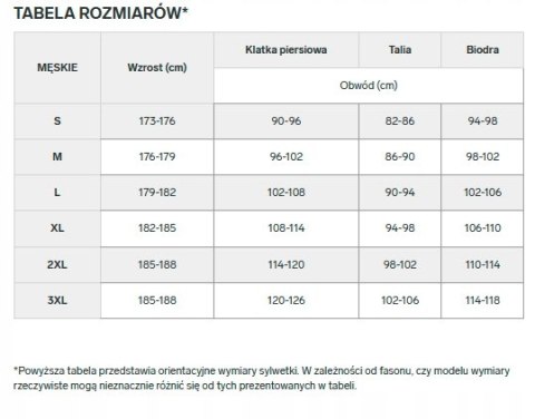 4F KOMPLET MĘSKA BIELIZNA TERMOAKTYWNA KOSZULKA SPODNIE rozm S/M