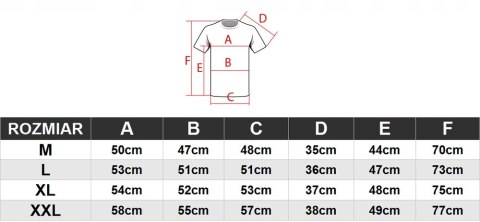 OUTHORN MĘSKA KOSZULKA T-SHIRT BAWEŁNA / rozm L OUTHORN MĘSKA KOSZULKA T-SHIRT BAWEŁNA / rozm L